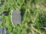 image of grave number 565480